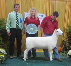 Reserve Champion Ram